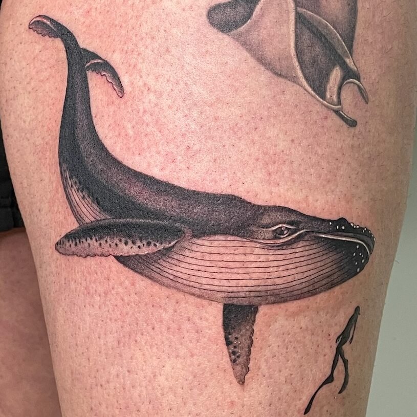 ballena sesión completa de tatuaje